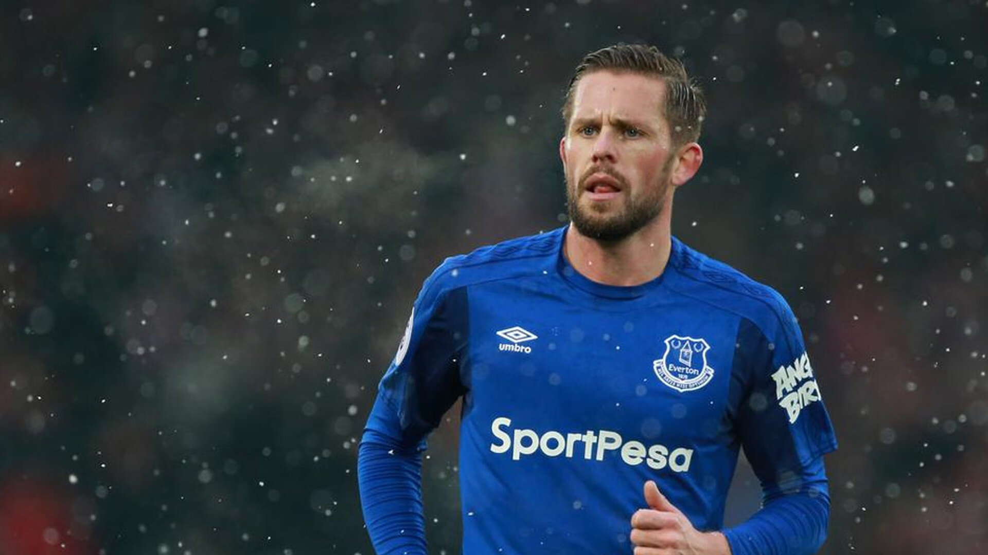 足球明星转会市场分析